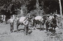 RC 2015.0.2.1 Bishop Interview Image Number 25